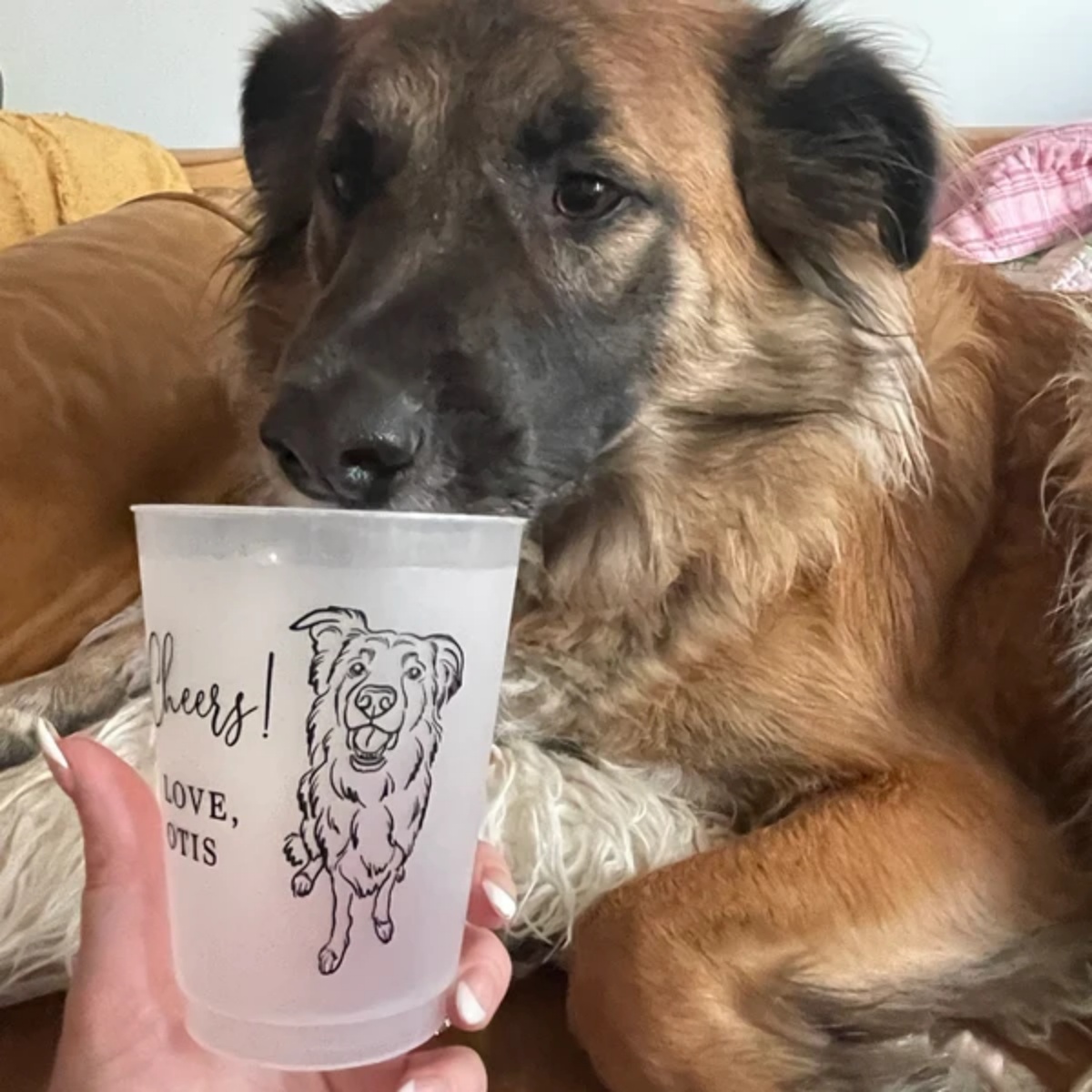 10/50 Персонализированные мато – обзор и цена Plastic Cup 50Pcs